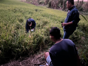 รูปภาพ16